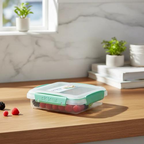 Tupper Taper Hermetico Porta Sandwich Queso Jamon Colacion 450ml - imagen 2
