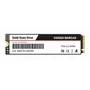 Ssd Nvme Varias Marcas 256gb M.2 2280 Pcie 3.0 Interno Para Pc Y Notebook - Excelente (Reacondicionado) Flashnote Varias Marcas